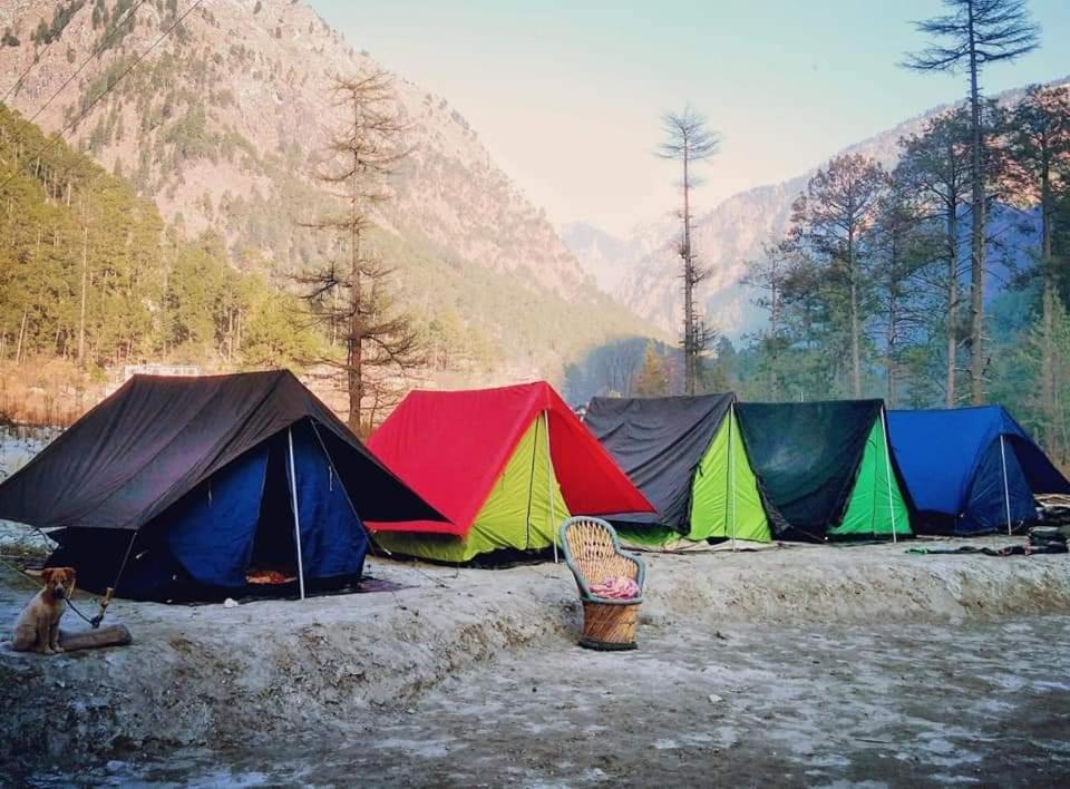 Stayhigh Camps & Cottages カソル エクステリア 写真