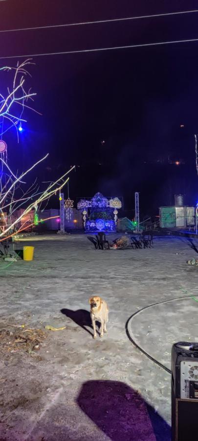 Stayhigh Camps & Cottages カソル エクステリア 写真